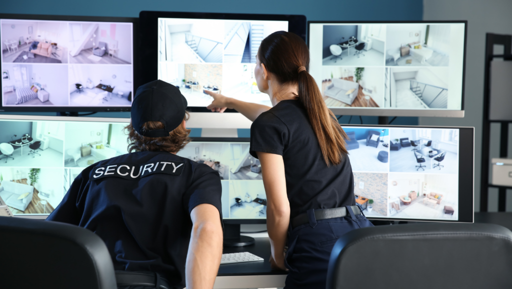 Security and Surveillance Cameras