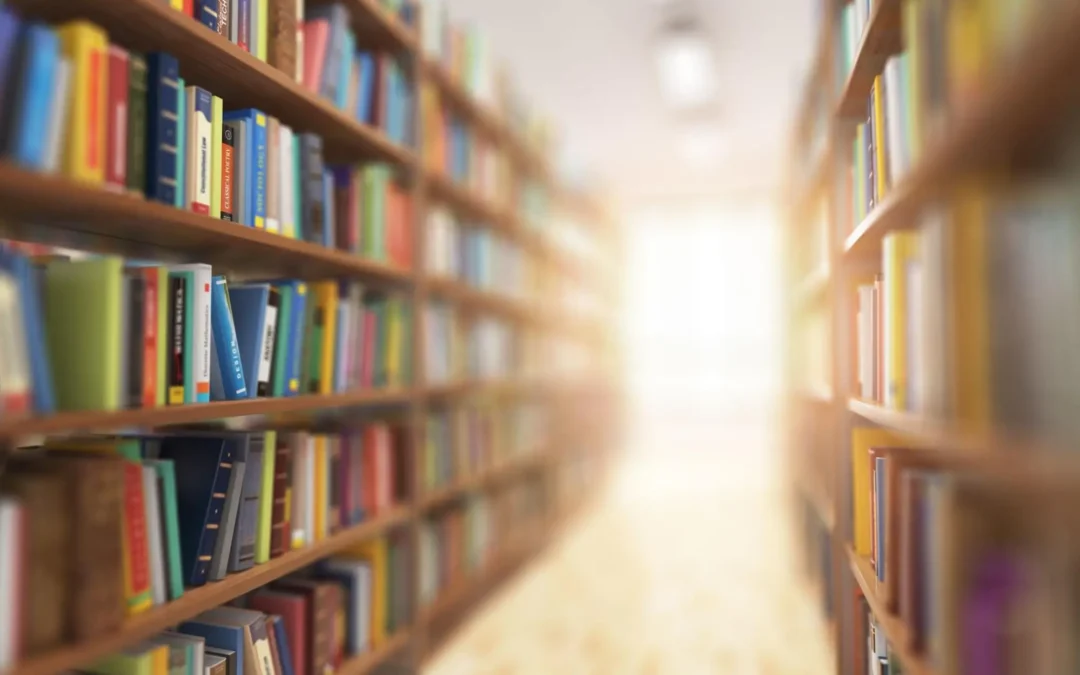 Tackling The Challenge of Library Security: Protecting Visitors While Preserving Positive Experiences